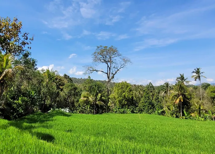 Umah Yugadi Bali Homestay Munduk (Bali)